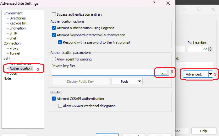 {WinSCP}